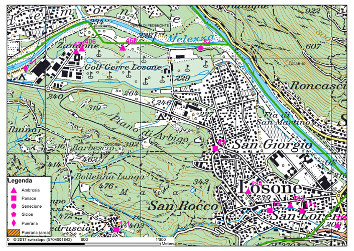 Mappa dei focolai delle piante invasive a Losone